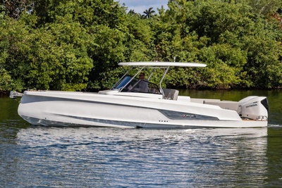 Other Sterk 31