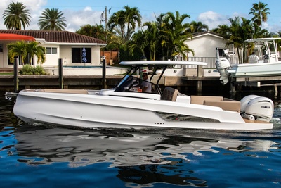 Other Sterk 31